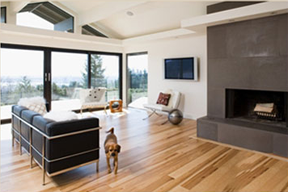 Residential Green Remodeling: Design, Construction and Accreditation  [V.2]