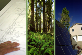 Green Design: Perspectives on Innovation