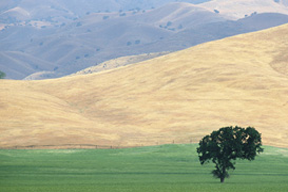 Minimum Standards for Arkansas Land Surveyors