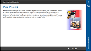 Professional Painting