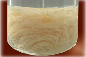 Precipitation, Coagulation & Flocculation: Course 1