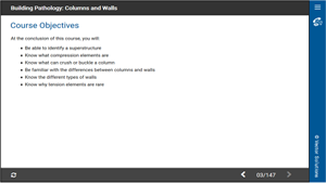 Building Pathology: Columns and Walls 