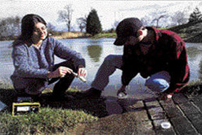 Groundwater Remediation