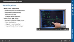 Continuous Process: Multiple Loop Control