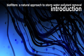 Biofilters: A Natural Approach to Storm Water Pollutant Removal