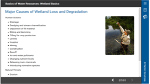 Basics of Water Resources: Wetland Basics