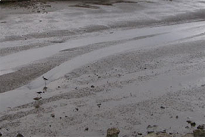 In Situ Remediation Technologies for Contaminated Soils