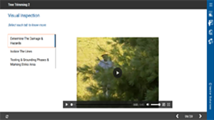 Tree Trimming, Part 2