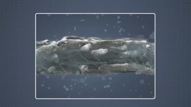 Common Physical Tests for Paper and Board