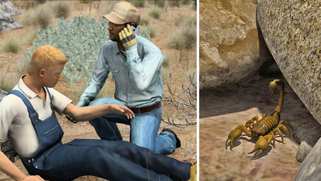 First Aid - Scorpion Stings
