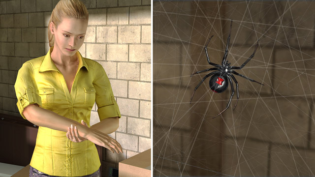 First Aid - Spider Bites