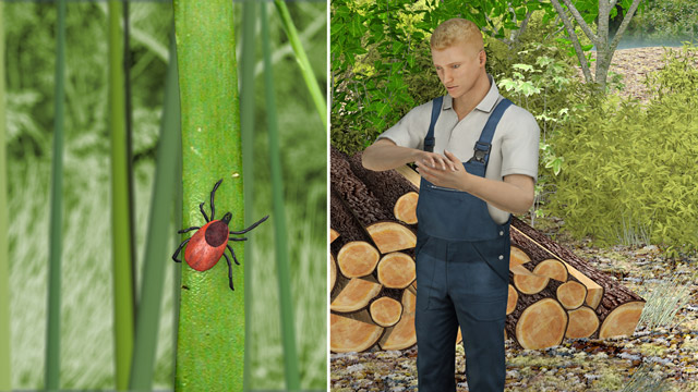 First Aid - Tick Bites