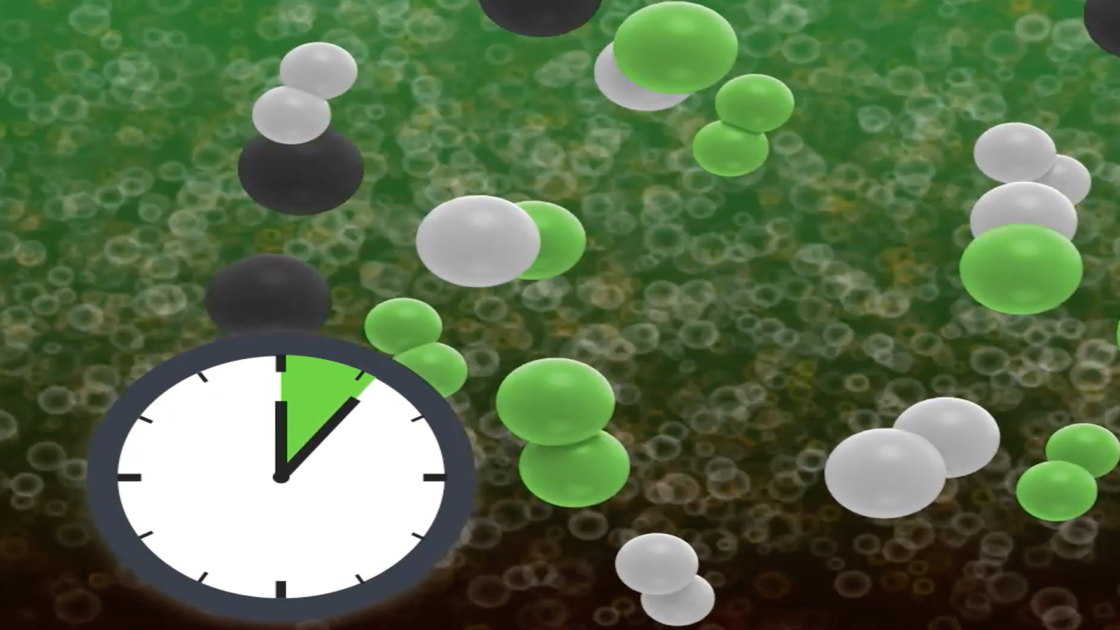 Chemical Reaction Rates and Equilibrium