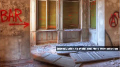 Mold Remediation 