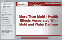 More Than Mold - Health Effects Associated With Mold and Water Damage