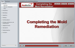 Completing the Mold Remediation