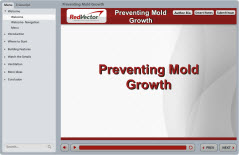 Preventing Mold Growth