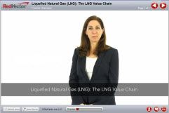 Liquefied Natural Gas (LNG): The LNG Value Chain