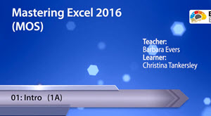 Mastering Excel 2016