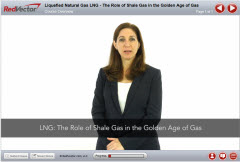 Liquefied Natural Gas (LNG): The Role of Shale Gas in the Golden Age of Gas