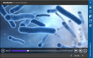 Intermediate Water Treatment